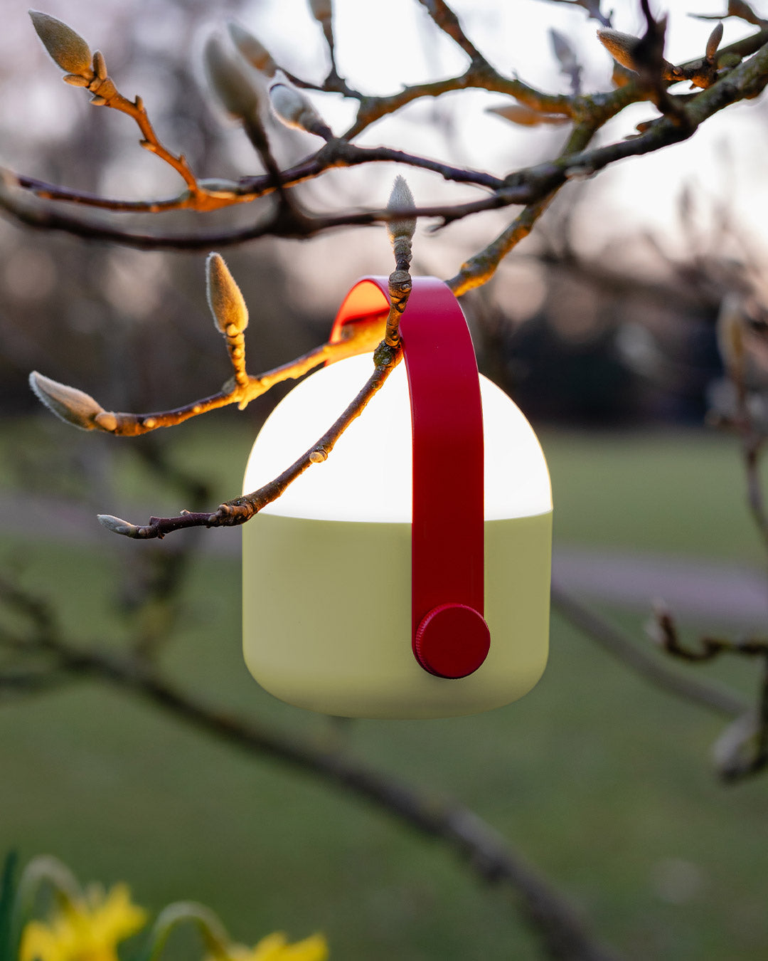 Outdoor lamp with red handle hanging on a winter tree in bud
