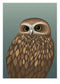 Morepork Art Print