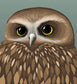 Morepork Art Print