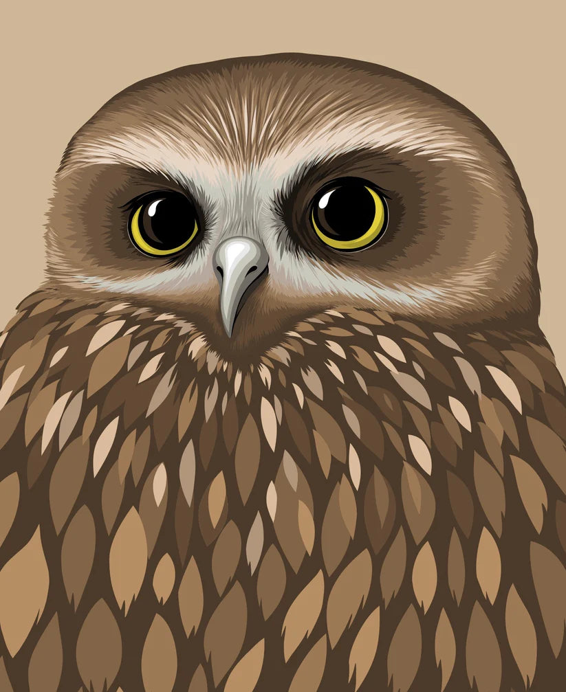 Morepork Art Print