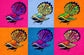 Six colorful birds on a grid of pink, blue, and orange backgrounds