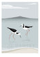 Pied Stilts by Rangitoto Art Print