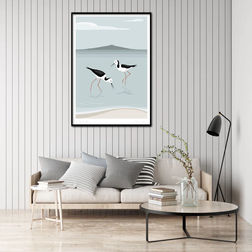 Pair of Pied Stilts wading in the shallows with Rangitoto volcano in the background