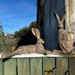 Pecan Country Hare Statue - Resting Earth