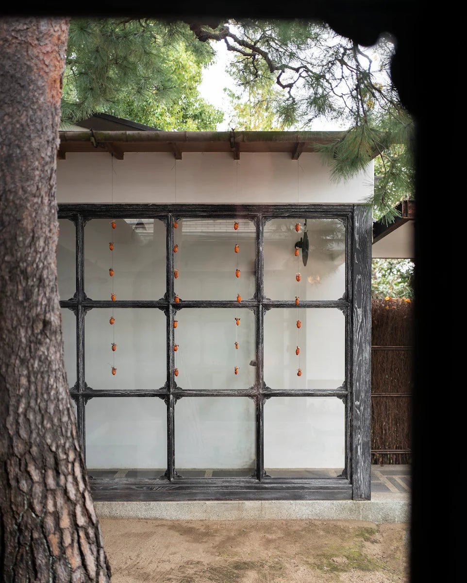 Window with black frame and glass panes, surrounded by greenery and a tree.