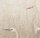 Stillwater Herons Wallpaper Mural