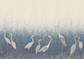 Stillwater Herons Wallpaper Mural