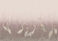 Stillwater Herons Wallpaper Mural