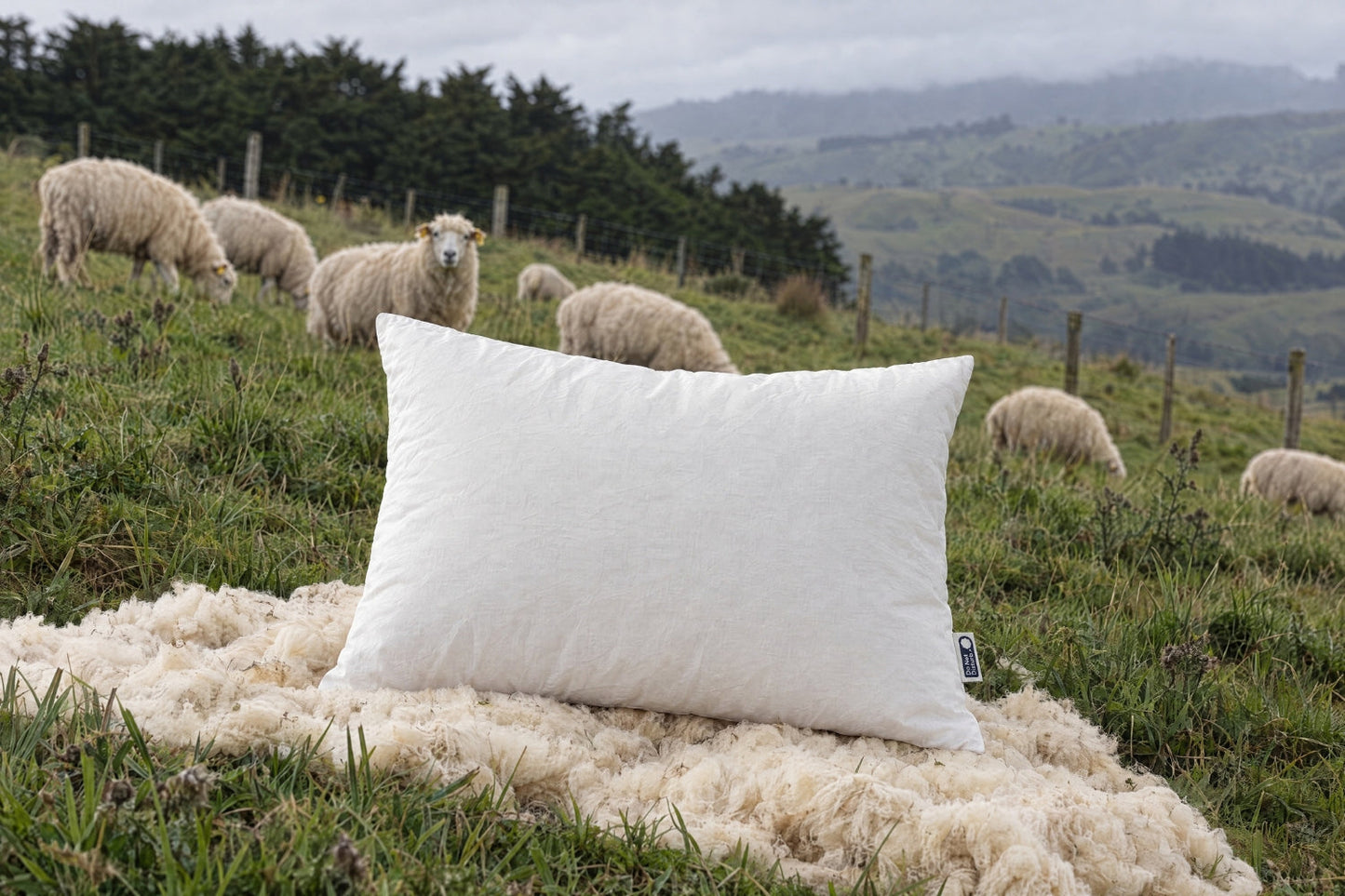 Wisewool Cloud Pillow