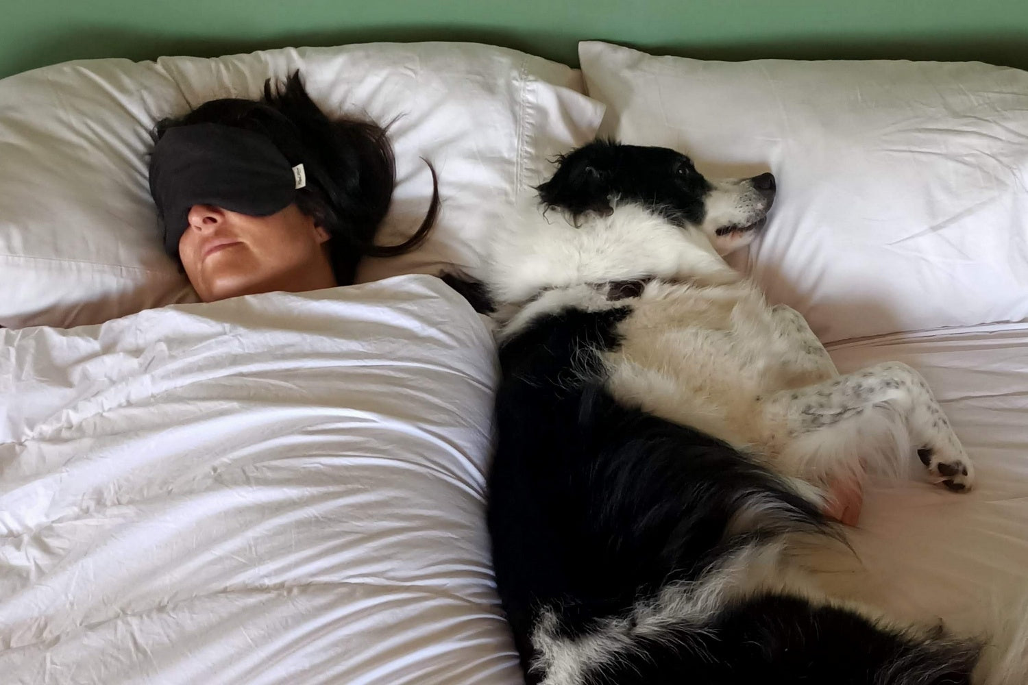 Person sleeping with a dog on a bed