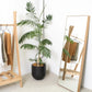 Oak Wooden Clothes Rack - with shoe shelf