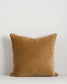 Edward Cushion