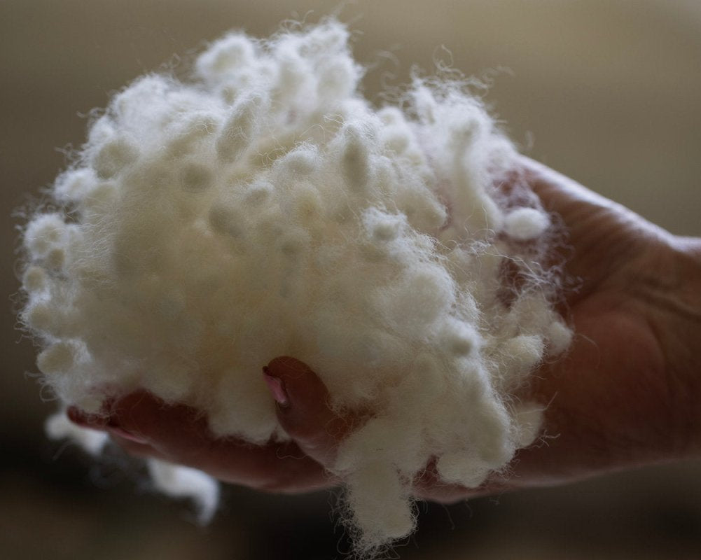 Hand holding a ball of white cotton wool against a neutral background