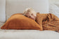 Felted NZ Wool Cushion