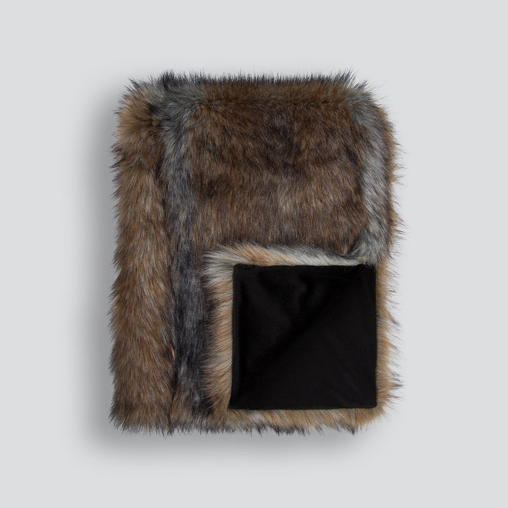 Golden Jackal fur throw on white background