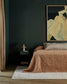 Bedroom with dark walls, a bed with brown bedding, and a framed artwork above the bed.