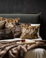 Luxury Imitation Fur Cushion - Red Fox