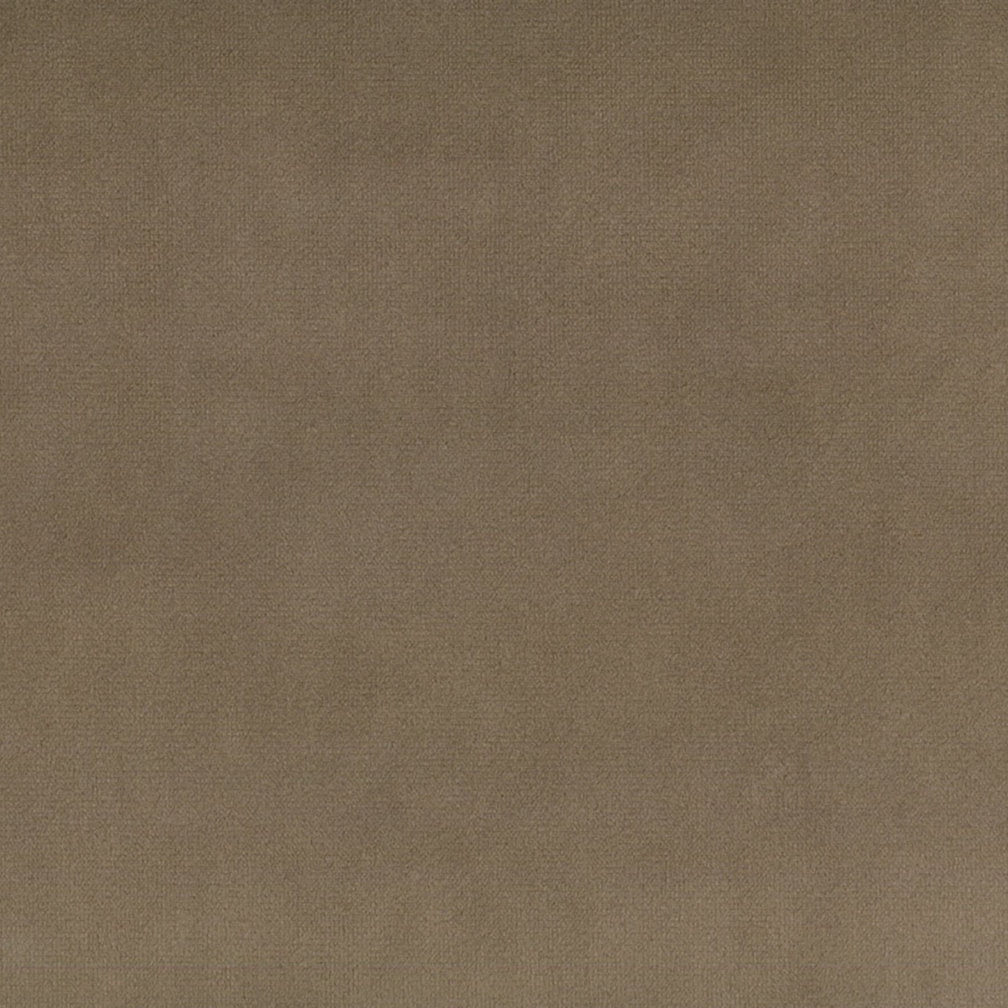 Adore Fabric - Warwick Fabrics