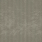 Canas Fabric - Warwick Fabrics Sauvage Collection