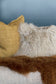 Meru Tibetan Lambs skin Fur cushion and hides - Meru in Oatmeal cream from Mulberi | My Sanctuary NZ