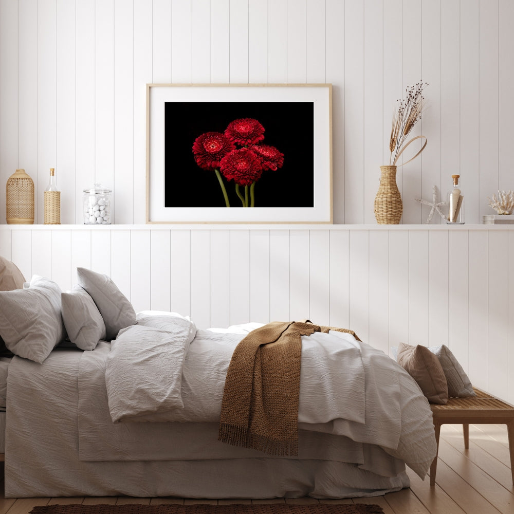 Red is the Colour of Passion - Limited Edition Gerbera Floral Wall Art