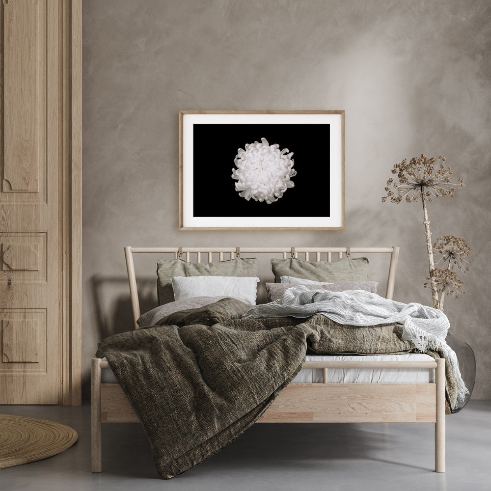 white chrysanthemum on a black background over a wooden modern bead, grey walls, pale wood traditional style door with light green foliage in a grey vase beside the bed