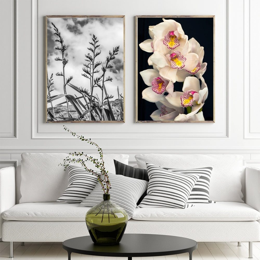 white orchid floral print on a white wall next to a black and white image of flaxes, over a white couch with black grey and white cushion, a black coffee table sits in front wit a green glass vase and stems of greenery