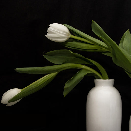 white tulip wall art in white vases and black back ground